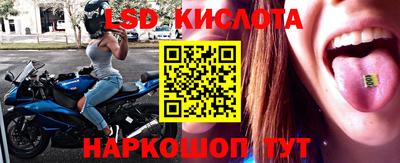 амф Кунгур
